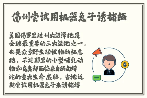 密爱在线播放